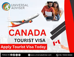 Simplified Path to Visiting Canada: Visa Insights for Japanese and British Travelers